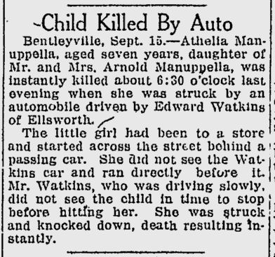 Amelia Manuppelli obit